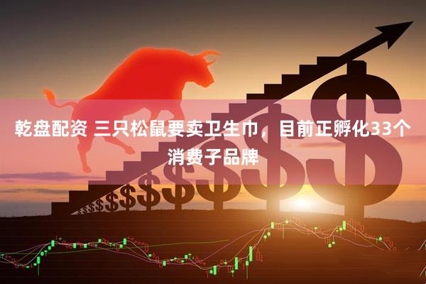 乾盘配资 三只松鼠要卖卫生巾，目前正孵化33个消费子品牌